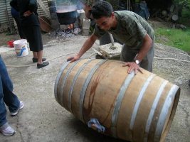 La Vendemmia, il lavoro che diventa divertimento, condivisione, festa!